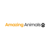 Amazinganimals